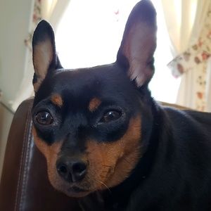 Meet your Posher, Irina